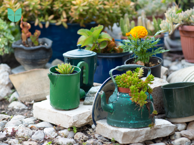 Creative Outdoor Solutions for Sustainable Gardening