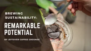 Brewing Sustainability: Reducing Waste in the Coffee Industry